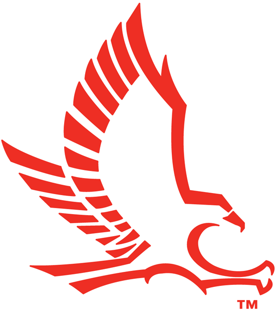 Hartford Hawks 1984-Pres Secondary Logo iron on transfers for fabric